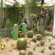 สวนพฤกษชาติภูเก็ต