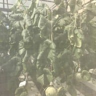บรรยากาศ Kuboro Melon Farm Kuboro Melon Farm