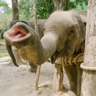 บรรยากาศ Sea Land Camp