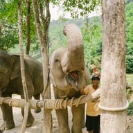 บรรยากาศ Sea Land Camp