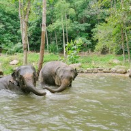 บรรยากาศ Sea Land Camp