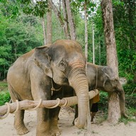 บรรยากาศ Sea Land Camp