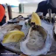 Hog Island Oyster Co.