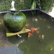 Princess cafe Sukhumvit 81