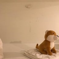 PA PRANK