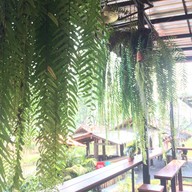 More Fresh Coffee & Salads