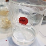 The Craft Lab Studio