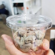 The Craft Lab Studio