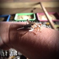 แม่บัวไล ณ ขอนแก่น Farm Stay