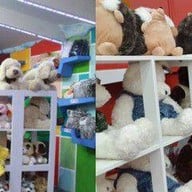 Teddy Bear Museum Pattaya