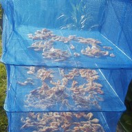 ร้านริมคลอง -