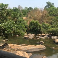 เรนฟอเรสท์ เรนฟอเรสท์รีสอร์ท