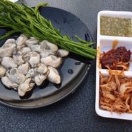 คนรักหอย