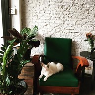 บรรยากาศ Bridge Cafe & Art Space