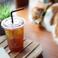 The Peace Cafe x Hostel