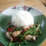 เจ้แมวนิยมเส้น