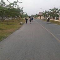 บรรยากาศ สวนเฉลิมพระเกียรติพระบาทสมเด็จพระเจ้าอยู่หัว 80 พรรษา