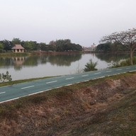 บรรยากาศ สวนเฉลิมพระเกียรติพระบาทสมเด็จพระเจ้าอยู่หัว 80 พรรษา