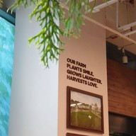 บรรยากาศ CORO Field Cafe เอสพลานาด รัชดา