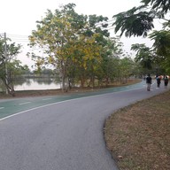 บรรยากาศ สวนเฉลิมพระเกียรติพระบาทสมเด็จพระเจ้าอยู่หัว 80 พรรษา