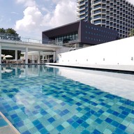 ทีซิกซ์ไฟว์ ฟีนอมินัล