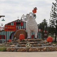 บรรยากาศ Swiss Sheep Farm Pattaya