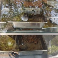 วรานิษฐ์อาหารปักษ์ใต้