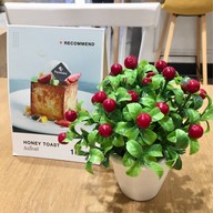 บรรยากาศ PACAMARA เซ็นทรัลพลาซา นครราชสีมา