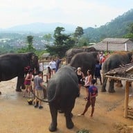 Elephant Jungle Sanctuary Phuket