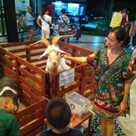บรรยากาศ The Ozone market