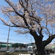 Isuzu Plaza  いすゞプラザ