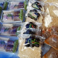 อรอนงค์ ขนมไทย ป้าจุ๊ ซ.ละลายทรัพย์