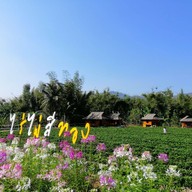 ไร่สตรอเบอร์รี่ไผ่สีทอง