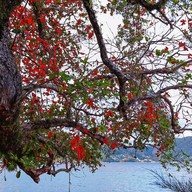 หาดไตรตรัง