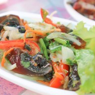 แก่งดง แม่แตง