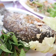 แก่งดง แม่แตง