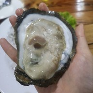 เมนูของร้าน ทะเลใต้ซีฟู้ด