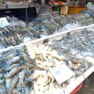 บรรยากาศ ตลาดมหาชัย