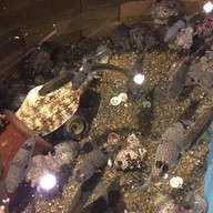 บรรยากาศ Nagasaki-koh