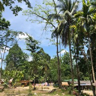 บรรยากาศ น้ำตกปากราง