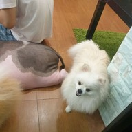 กระต่ายอวดดี