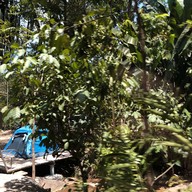 บรรยากาศ น้ำตกปากราง