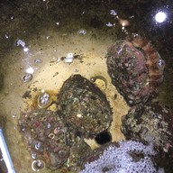 เมนูของร้าน Nagasaki-koh