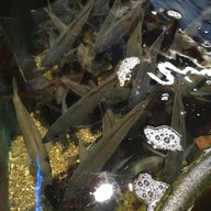 บรรยากาศ Nagasaki-koh