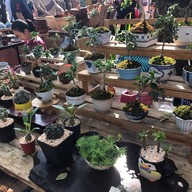 จริงใจ มาร์เก็ต เชียงใหม่