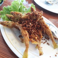 เมนูของร้าน ครัวปลาดุก