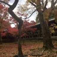 Tofukuji