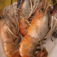 เมนูของร้าน Upper Grill สาขาตลาดนัดเลียบด่วนโซนใหม่