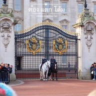 บรรยากาศ Buckingham Palace