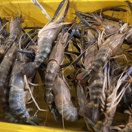 เมนูของร้าน Upper Grill สาขาตลาดนัดเลียบด่วนโซนใหม่